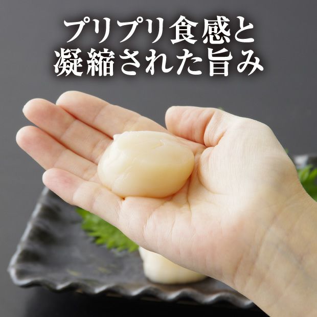 宗谷産 天然ほたて貝柱(冷凍) 500g