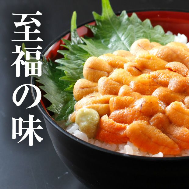 とても美味しそうなウニ丼