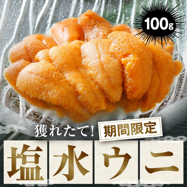 食べレア北海道　塩水うに　北海道の物産の「レア」な魅力を全国に発信するお取り寄せ通販サイト　100g　エゾバフンウニ