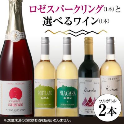 平川ワイナリー】スパークリングワイン2本セット _Y090-0017