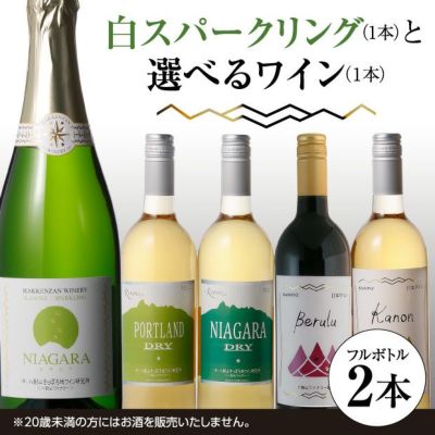 キャンベルセニエとお好みワイン 2本｜八剣山ワイナリー ワイン 札幌