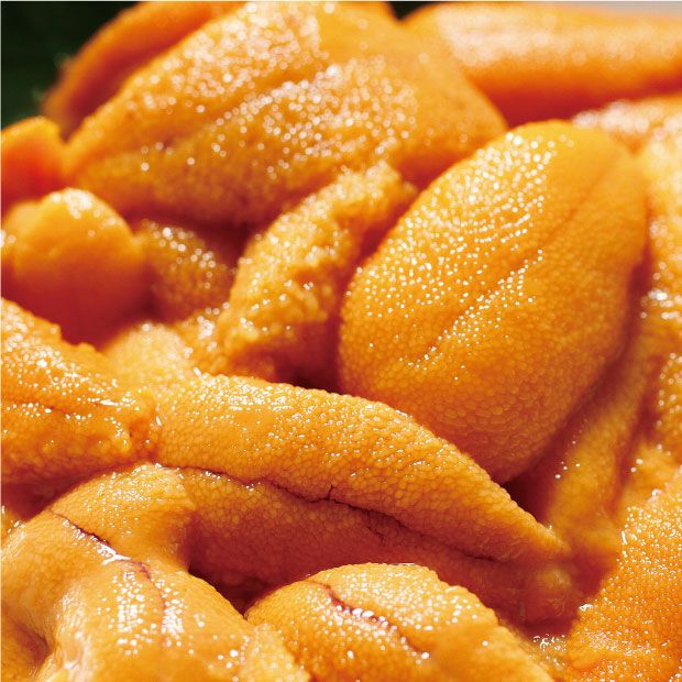 マグカップ塩水生うに 60g 2本｜ 弘成 函館 水産 海産物｜食べレア