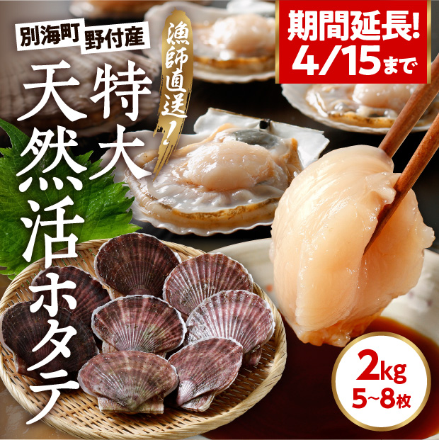 野付産天然ジャンボ活ほたて2㎏（野付産）｜北海道 根室 お取り寄せ  