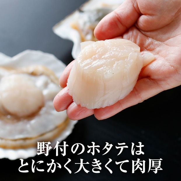 新作登場HOT日本最高級 北海道野付産 巽ジャンボ活ホタテ10kg以上45-50枚 魚介
