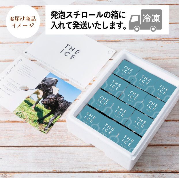 THE ICE KAMUI-MINTAL SALT 12個セット