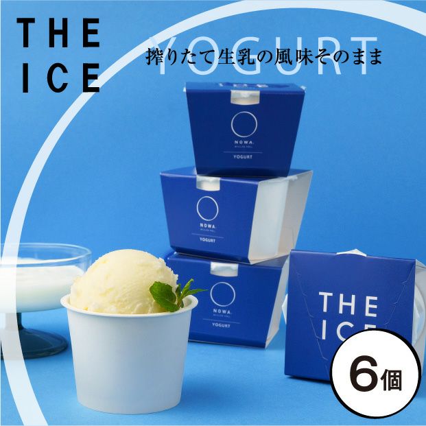 THE ICE YOGURT 6個セット