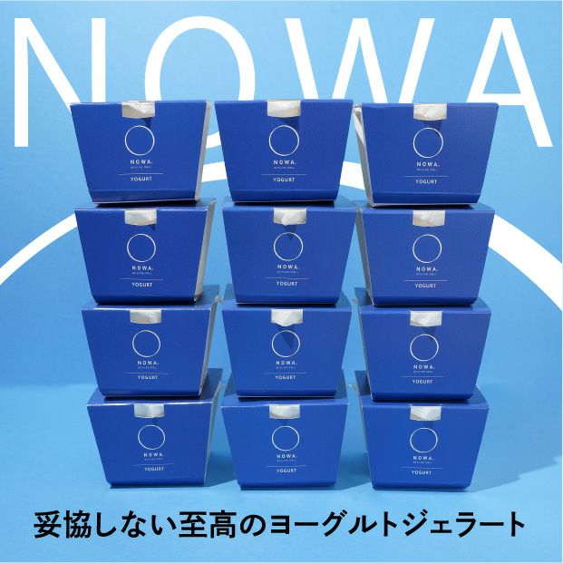 THE ICE YOGURT 12個セット