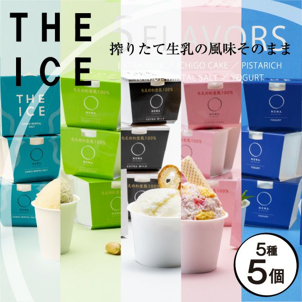 THE ICE 5種食べ比べ5個セット