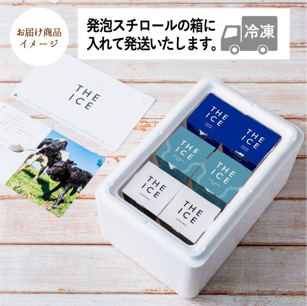 THE ICE ベーシック6個セット