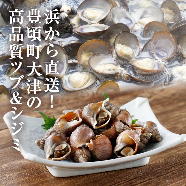 シジミとエゾバイツブ2種のセット