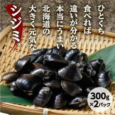 長節湖で取れたシジミ(Lサイズ)｜北海山 十勝｜お取り寄せ 物産 食べ