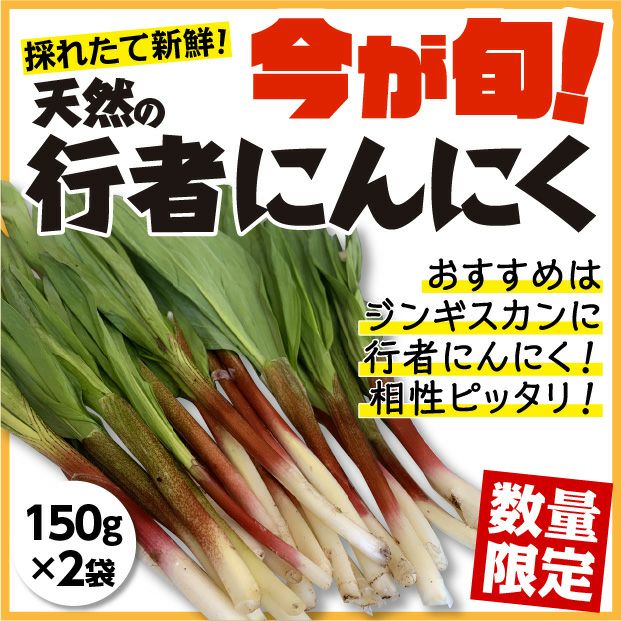 山採り行者にんにく（天然）｜北海山 十勝｜山菜 お取り寄せ 物産 食べレア北海道