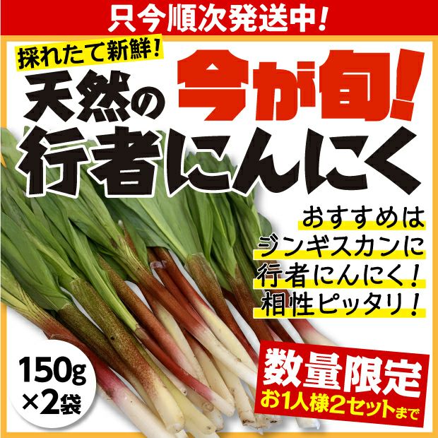 山採り行者にんにく（天然）