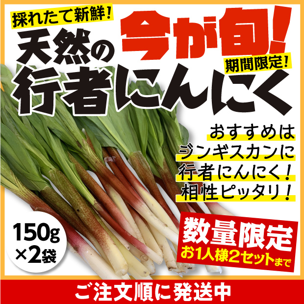 山採り行者にんにく（天然）