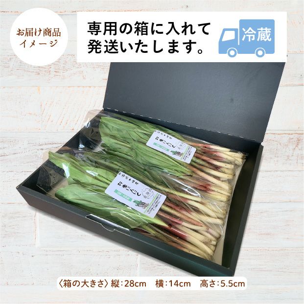 山採り行者にんにく（天然）