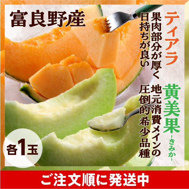 2種のふらのメロン（ティアラ/黄美香）秀品各1玉