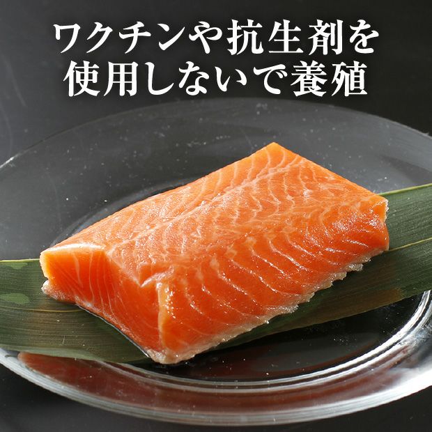 北海道産サーモントラウト刺身用450g