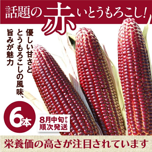 赤いスイートコーン 大和ルージュ 6本