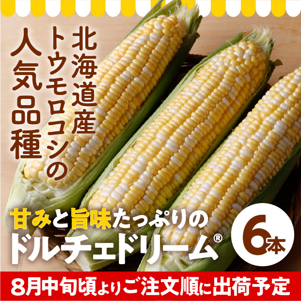 けんぶち産　ドルチェドリーム6本