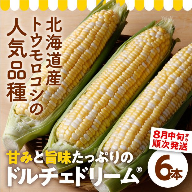 けんぶち産　ドルチェドリーム6本