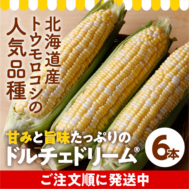 けんぶち産　ドルチェドリーム6本