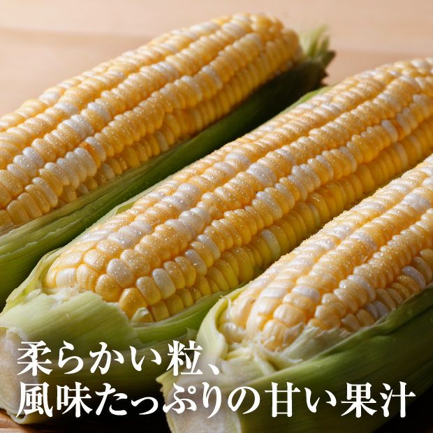 けんぶち産　ドルチェドリーム6本