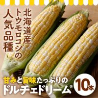 けんぶち産　ドルチェドリーム10本