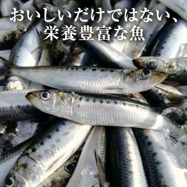 刺身いわし