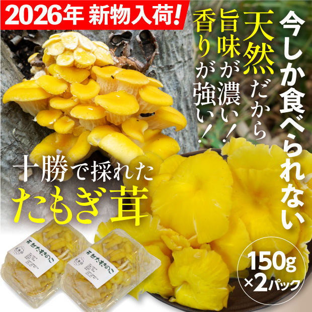 山採り天然たもきのこ 150g×２パック