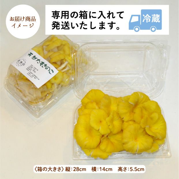 山採り天然たもきのこ 150g×２パック