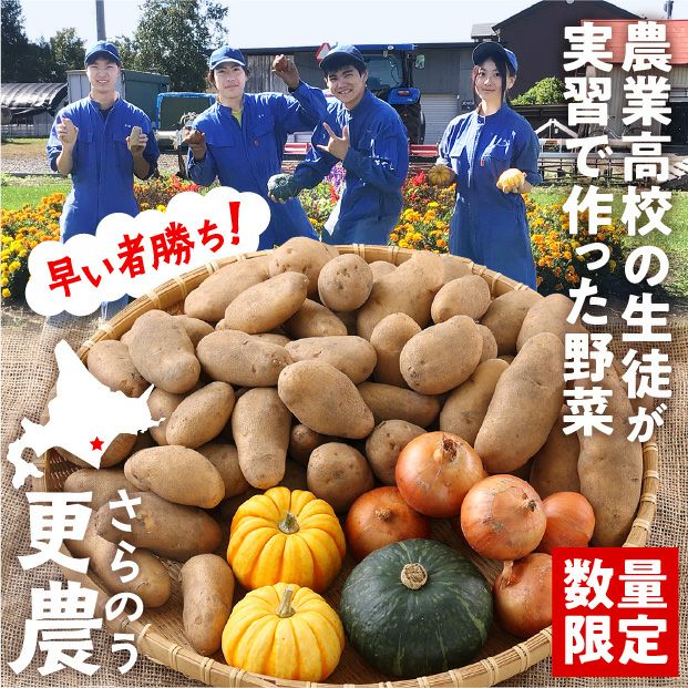 秋の収穫野菜セット