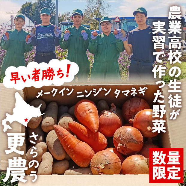 秋の収穫野菜セット