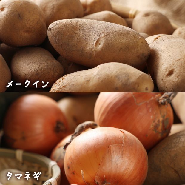 秋の収穫野菜セット