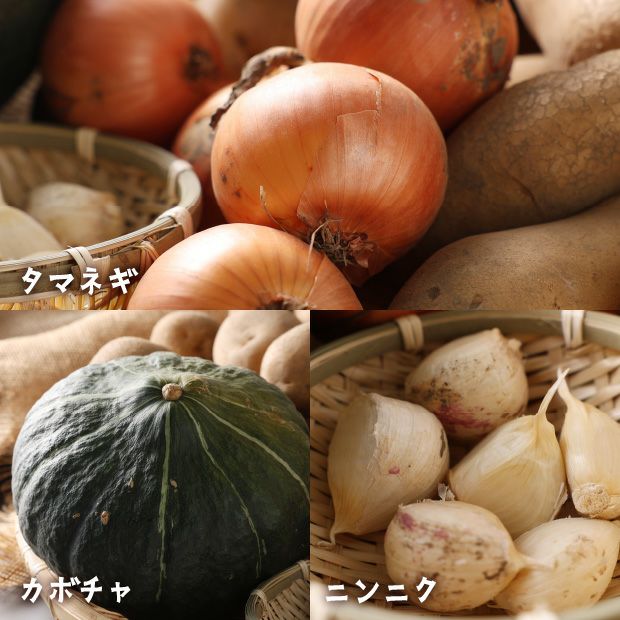 秋の収穫野菜セット