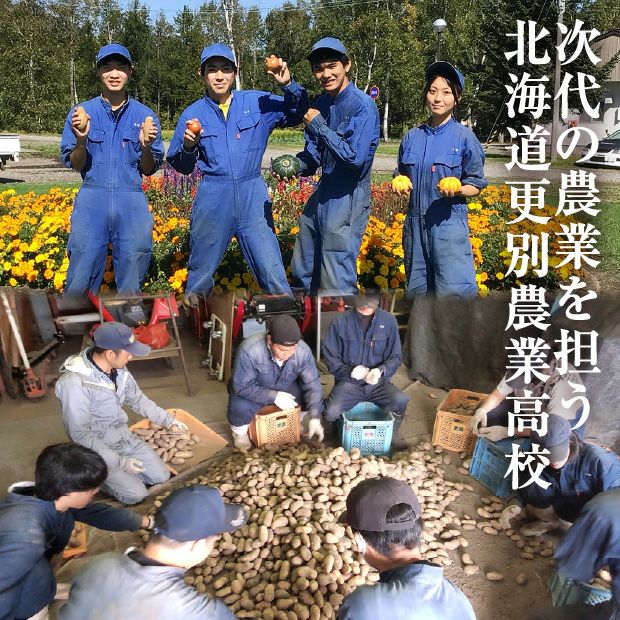 秋の収穫野菜セット