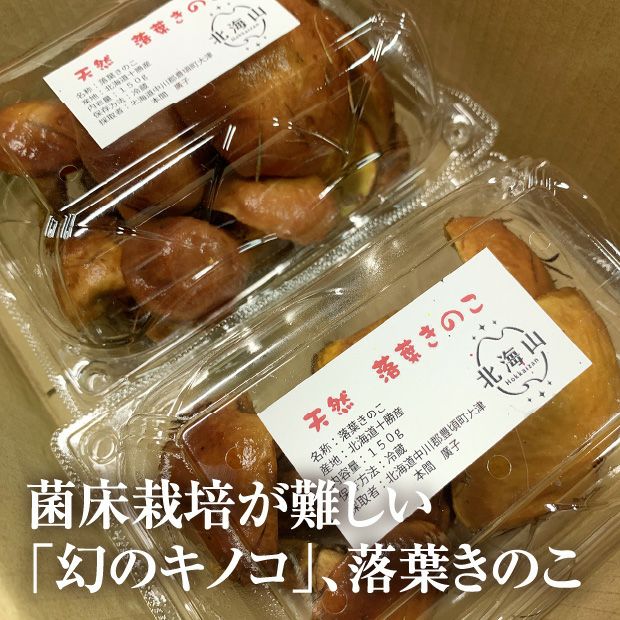 天然落葉きのこ 150g×2パック キノコ｜野菜｜食べレア北海道 物産 お取り寄せ