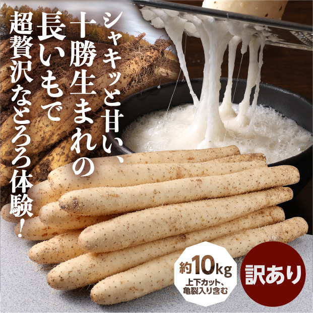 大正ながいも 訳あり 10kg