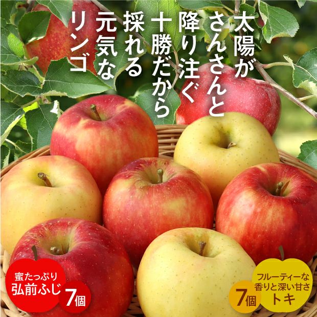 北海道十勝産りんご 弘前ふじとトキ 各7個セット