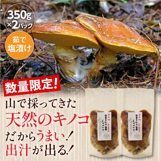 天然落葉きのこ(茹で塩漬け) 350g×２｜山菜 キノコ｜食べレア北海道 物産 お取り寄せ