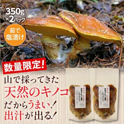 天然落葉きのこ 150g×2パック キノコ｜野菜｜食べレア北海道 物産 お取り寄せ