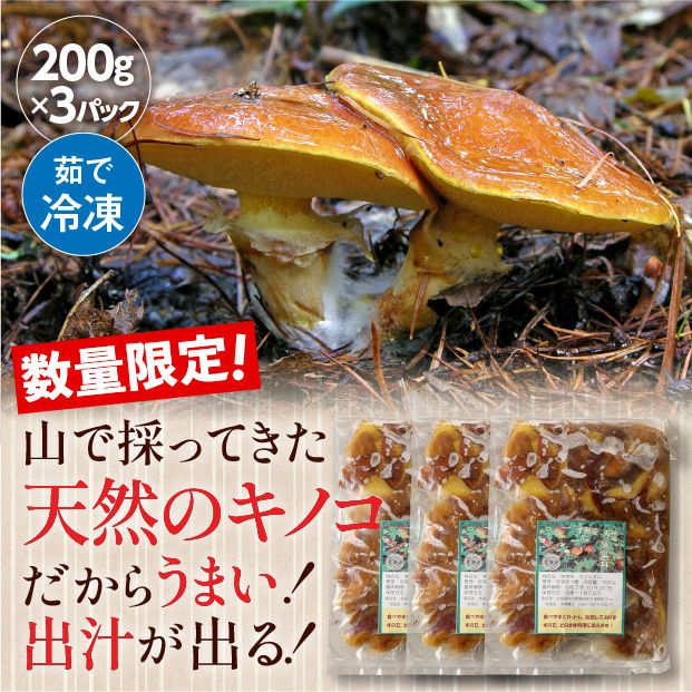 天然落葉きのこ(茹で冷凍) 200g×３