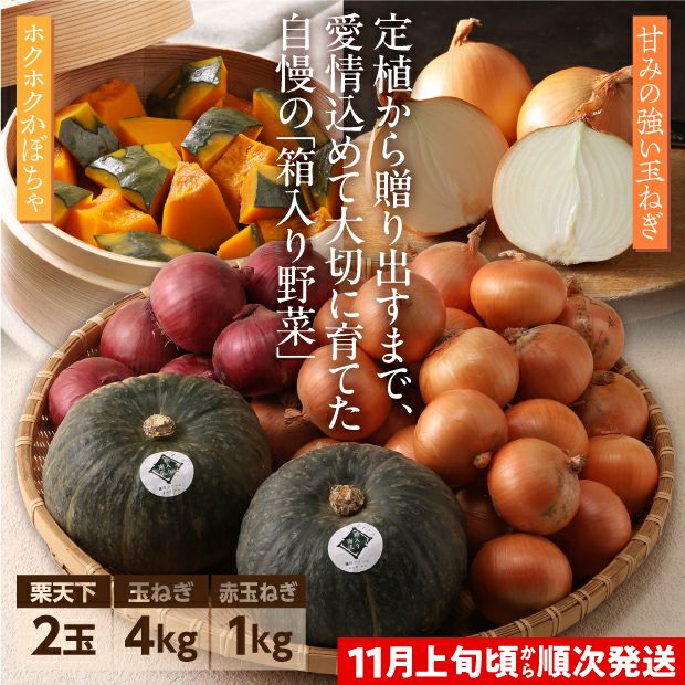 かぼちゃ栗天下と2種の玉ねぎ