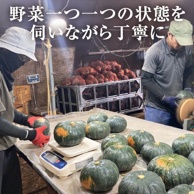 かぼちゃジェジェJと2種の玉ねぎ