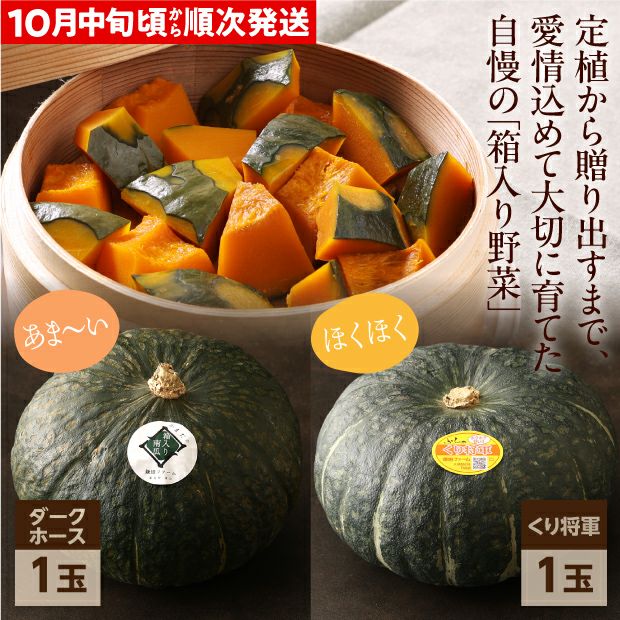 秋のプレミアムかぼちゃセット