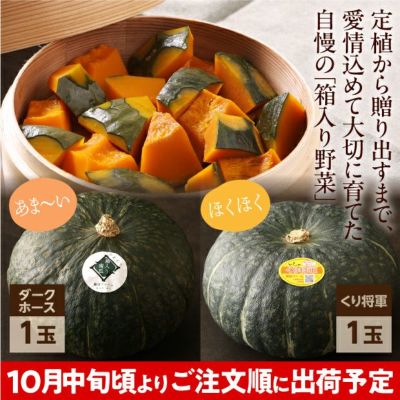 富良野産 秋のプレミアムかぼちゃセット｜農産｜かぼちゃ｜食べレア