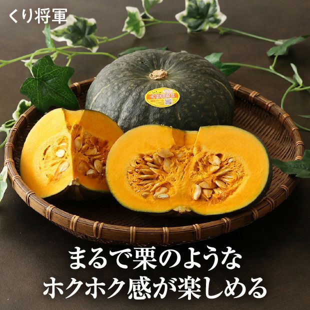 秋のプレミアムかぼちゃセット