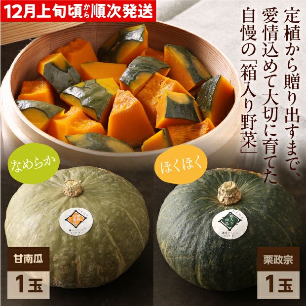 冬のプレミアムかぼちゃセット