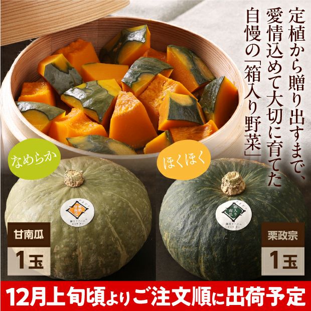 冬のプレミアムかぼちゃセット