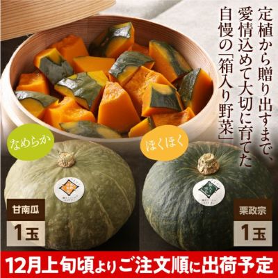 かぼちゃ専用): 000000004489-01-m.jpg?t=