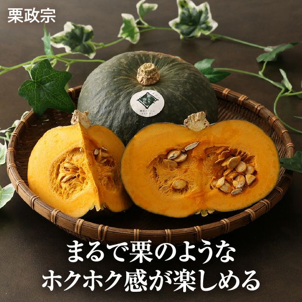 冬のプレミアムかぼちゃセット